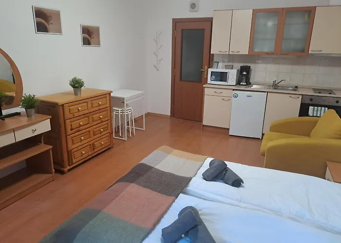 Flora Apartment Hotel Studio 411