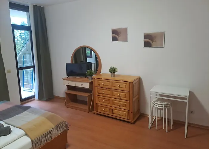 Flora Apartment Hotel Studio 411